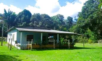 Imagem 5: Sítio/Terreno/AM 240/Estrada de Balbina, KM 28/48 Hectares