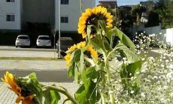 Imagem 2: OPORTUNIDADE - APARTAMENTO GUAIANAZES SÃO PAULO