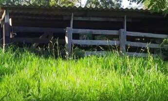 Imagem 4: Vende -se uma excelente chácara de 4/5 alqueires no município de Abadiânia