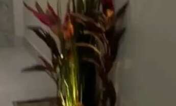 Imagem 7: Alto Padrão Jardim Palmeiras/Financia,!!!