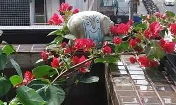 Imagem 4: Aceito oferta Apt. 04 Suítes em Manaíra - Direto Proprietário