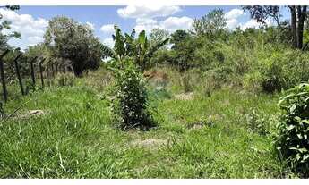 Imagem 7: Chácara em Porangaba/SP