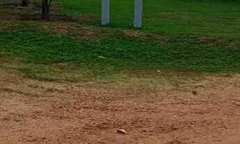 Imagem 3: Vendo Chácara Chácara com venda por R$450.000