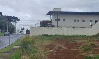 Imagem 6: Imperdível! Casa em bairro planejado em Guarapuava PR