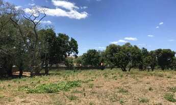 Imagem 3: Terreno à venda, 32500 m² por R$ 32.500.000,00 - Mondubim - Fortaleza/CE