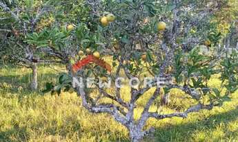 Imagem 4: Sítio em Sitio - Centro - Capela de Santana/RS