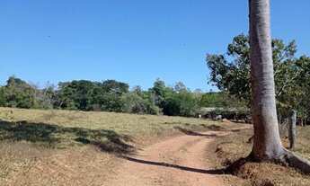 Imagem: Chácara de 5 alqueires e 8 litros