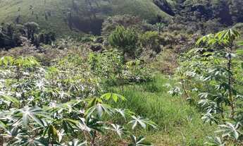 Imagem: Vendo excelente sítio em jaguaripe