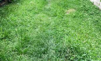 Imagem 2: Vende-se casa Casa com 3 dormitórios