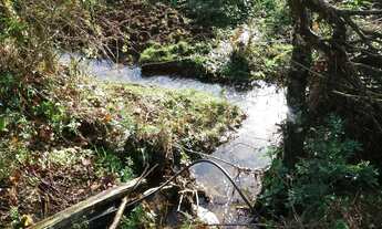 Imagem 7: Sitio 1.5 hectare com lago, pertinho de Gramado