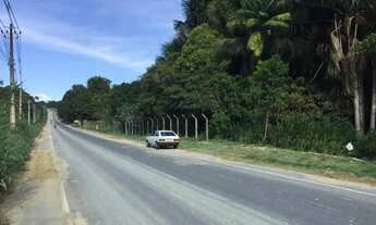 Imagem 2: Terreno no Km 25 da AM010, 250.000m2. Documentado. Próximo a 3M. Ótimo relevo