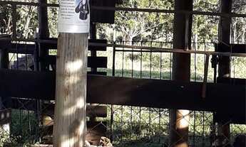 Imagem 6: Vendo área próximo morada nova