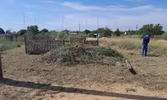 Imagem 3: Terreno João de barro