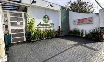 Imagem: Hospital Veterinário 24h Animalife