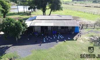 Imagem 3: Propriedade belíssima com 3,4ha, sobrado, casa, galpões, piscina e açudes em Triunfo