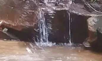 Imagem 5: Terreno em Taquaracu de Minas