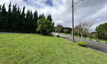 Imagem 5: TERRENO CONDOMÍNIO QUATRO BARRAS - PR
