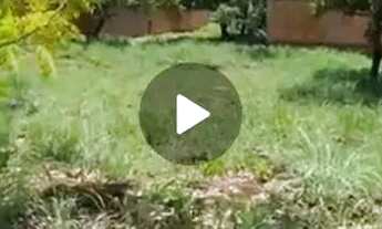 Imagem 4: Lote QUITADO próx a TO 080 LAGUNA 1