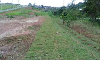 Imagem 4: Loteamento Jardim Elisa - Suzano/SP