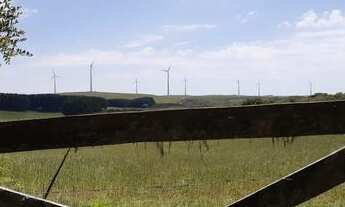 Imagem 3: 138 alqueires em SC