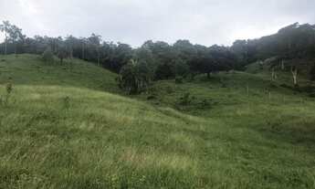 Imagem 3: Chácara 1 alqueiro e 40 litros a 2 km da cidade bem localizado