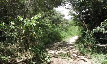 Imagem 3: Linda chácara de 2.500 m², com nascente a 100 metros do Rio Cipó (Temos varias opções)