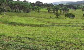 Imagem 7: Terezópolis de Goiás - Chácara
