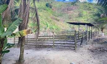 Imagem 1: Sítio lugar bem maravilhoso