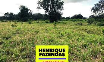 Imagem 7: Fazenda Miracema 425,92 hectares