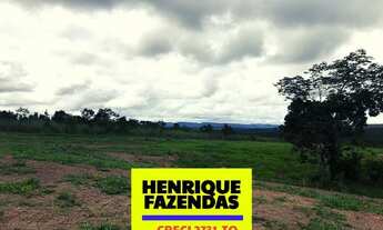 Imagem 2: Fazenda Miracema 425,92 hectares