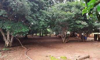 Imagem 10: Senador Canêdo - Fazenda - Área Rural de Senador Canedo