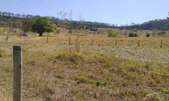 Imagem 5: Chacara no varjão com agua no meio da terra 55 km d Goiânia chacaras de 3 hectares energia
