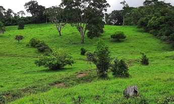Imagem 3: Terezópolis de Goiás - Chácara