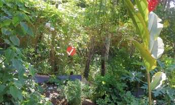 Imagem 7: Nova Lima - Casa de Condomínio - Residencial Sul