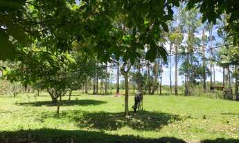 Imagem 2: Sítio Iguape 6 alqueire duas casa