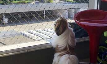 Imagem 2: VENDO APARTAMENTO 63M.,ENGENHO DENTRO, 02 QUARTOS C/ARMARIO (01 SUITE