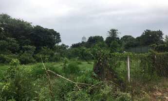 Imagem: Jacarei - Terreno Padrão - Jardim Santa