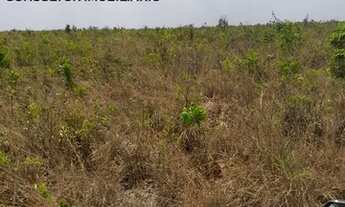 Imagem 4: Fazenda De 3.500 Hectares Em Baixa Grande Do Ribeiro/ PI Permuta Até 50% Em Imóveis