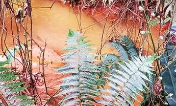 Imagem 2: Fazenda/Sítio/Chácara para venda possui 63000 metros quadrados em Paraju - Domingos Martin