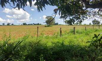Imagem 3: Fazenda a venda de 6 Alqueires no Município de Piracanjuba