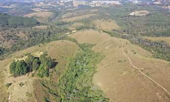 Imagem 2: Excelente sítio com muita água