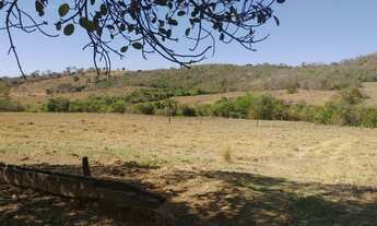 Imagem 4: Chacara no varjão com agua no meio da terra 55 km d Goiânia chacaras de 3 hectares energia