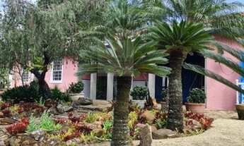 Imagem 3: Casa alto padrão na Vila Santista com quintal magnifico, térrea com 5 dorm