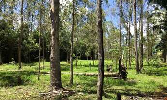 Imagem 7: Sítio Iguape 6 alqueire duas casa