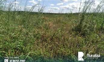 Imagem 5: Fazenda para integração lavoura pecuária no Tocantins
