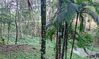 Imagem 2: Lindos 9 alqueires paulistas 577 mil reais