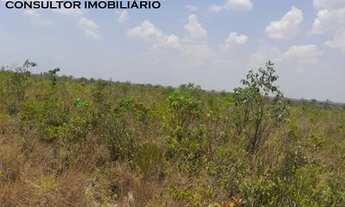 Imagem 3: Fazenda De 3.500 Hectares Em Baixa Grande Do Ribeiro/ PI Permuta Até 50% Em Imóveis