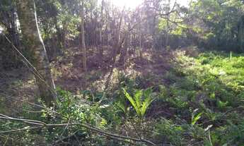 Imagem 2: Terreno Terreno à venda em Gramado/RS