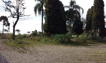 Imagem 2: Caxias do Sul - Terreno Padrão - Desvio Rizzo