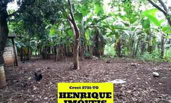 Imagem 5: Fazenda no Tocantins Porto Nacional